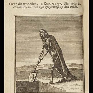 The Pure and Pleasing Face