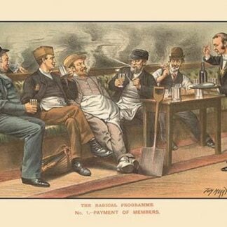 The Radical Programme by Tom Merry