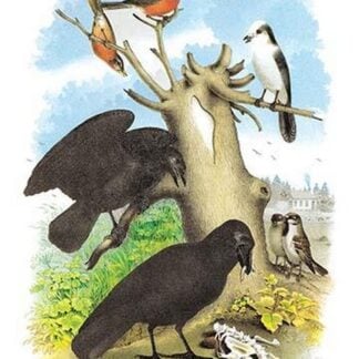 The Raven by Theodore Jasper