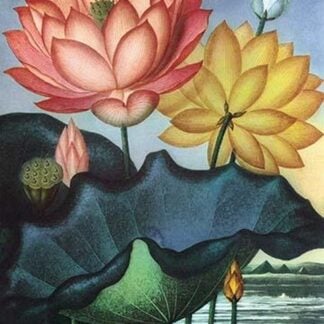 The Sacred Egyptian Bean