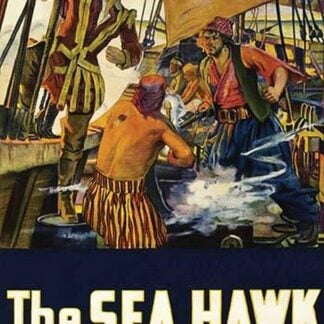 The Sea Hawk