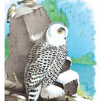 The Snow Owl by Theodore Jasper