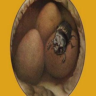 The Spanish Copris by Edward Detmold