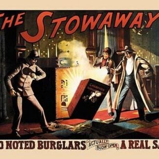 The Stowaway by Sherry Gakqueville