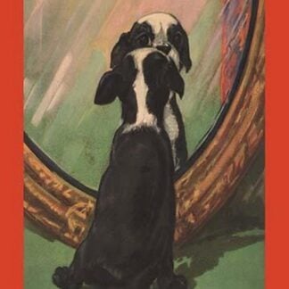 The Stranger by Diana Thorne