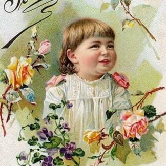 The Teeth; Their Care and Preservation