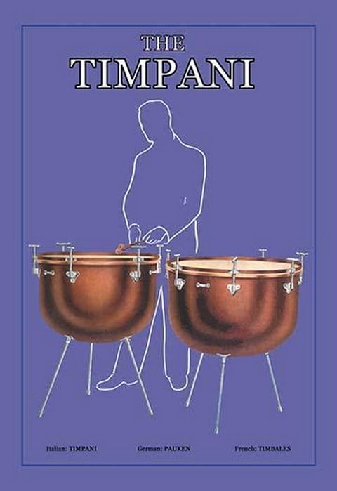 The Timpani