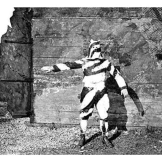 The Tree-Climbing Observer Gets on His Camouflage