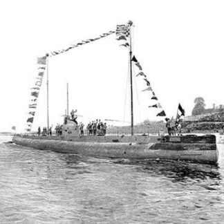 The Triumphant Return of the Deutschland by Claus Bergen