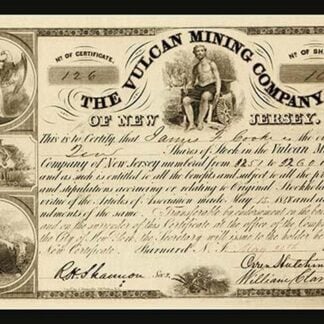 The Vulcan Mining Company