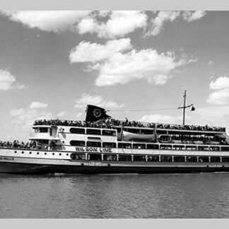 The Wilson Line by Edward Clark