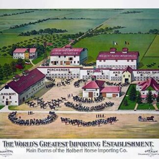 The world's greatest importing establishment by Gugler