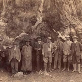 Theodore Roosevelt and his distinguished party by Underwood & Underwood