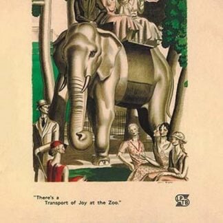 There's a Transport of Joy at the Zoo