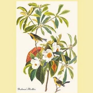 These are the Day when Birds come Back by Emily Dickenson