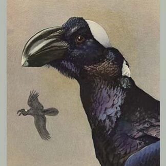 Thick Billed Raven by Louis Agassiz Fuertes