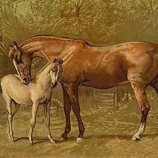 Thoroughbred Mare and Foal by Samuel Sidney
