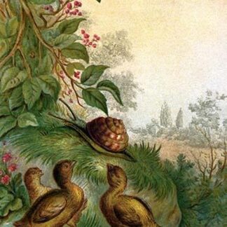 Three Chicks ponder a Snail by Anton Hochstein