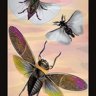 Three Insects in Flight by James Duncan