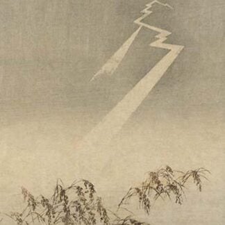 Thunder and lightning over rice grain