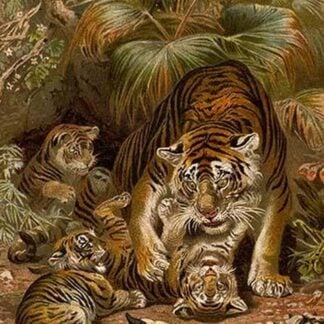 Tiger with Cubs by Friedrich Wilhelm Kuhnert