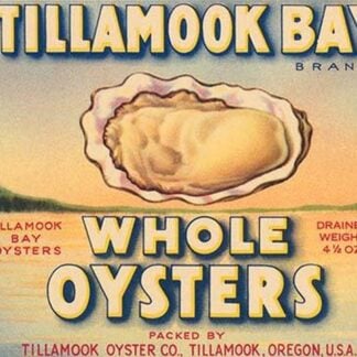 Tillamook Bay Whole Oysters