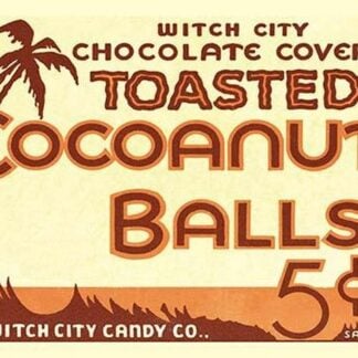 Toasted Cocoanut Balls #2