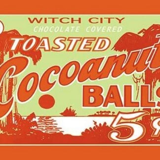 Toasted Cocoanut Balls