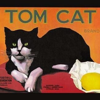 Tom Cat Brand