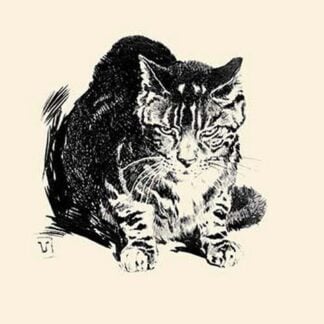 Tom of the Battleship 'Maine' by George Edmund Varian