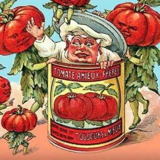 Tomate Amieux-Freres by M. Halle