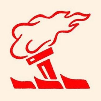 Torch and Banners by Chinese Government #2