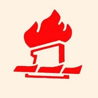 Torch and Banners by Chinese Government #3