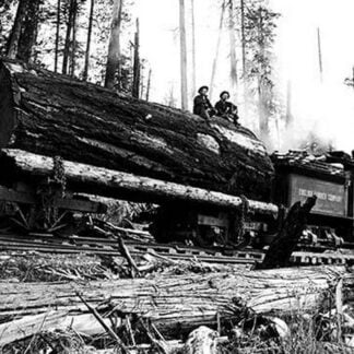 Transporting Fallen Old Growth by Darius Kinsey