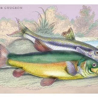 Trench and Gudgeon by Robert Hamilton