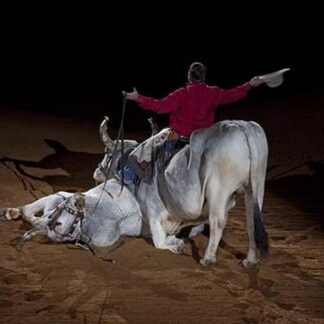 Trick Riding by Carol Highsmith