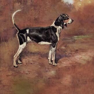 Triomphe by Thomas Ivester Lloyd