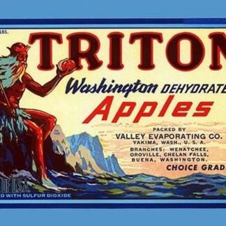 Triton Washington Dehyrated Apples