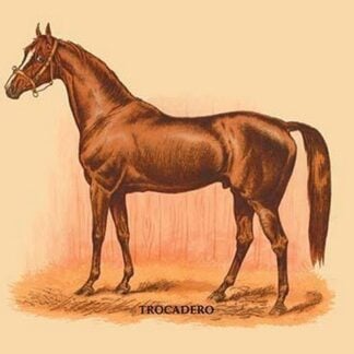 Trocadero by L. Penicaut