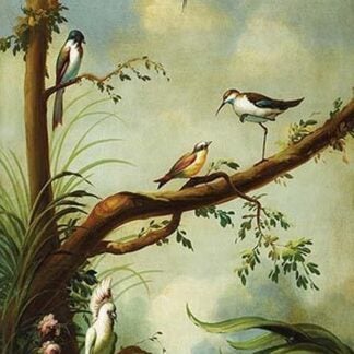 Tropical Birds by Ira Monte