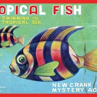 Tropical Fish #2