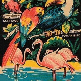 Tropical Hobbyland - Birds