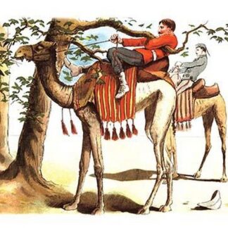 Troubles with a Camel by Richard Simkin