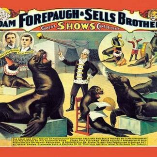 Troupe of Marvelously Educated Sea Lions and Seals: Adam Forepaugh and Sells Brothers Shows