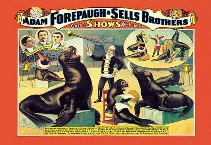 Troupe of Marvelously Educated Sea Lions and Seals: Adam Forepaugh and Sells Brothers Shows