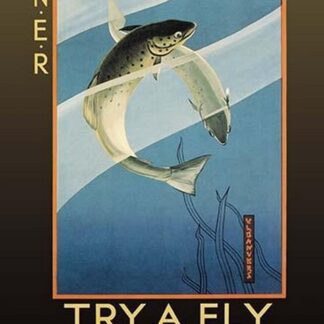 Try a Fly by V.L. Danvers