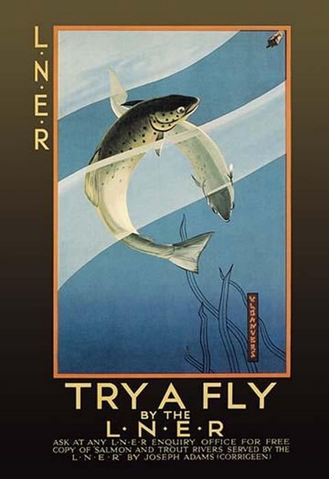 Try a Fly by V.L. Danvers