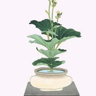 Tsuwa-buki (Ligularia Tussilagineana) in a wide mouth Tsubo by Josiah Conder