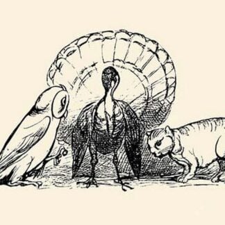 Turkey on the Hill by Edward Leer