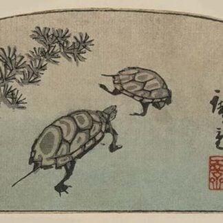 Turtles (Kame) by Utagawa Hiroshige